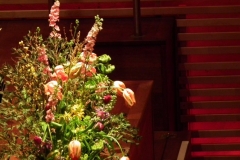 vivaldi (12)