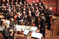 vivaldi (16)
