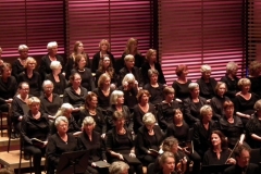 vivaldi (2)