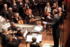 vivaldi (20)