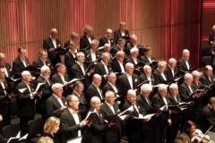 vivaldi (23)