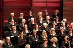 vivaldi (24)