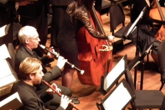 vivaldi (5)