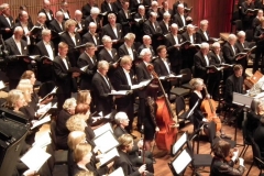 vivaldi (8)